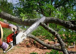 Mulching Services in Pinole, CA